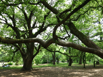 為什麼會害怕呢?這條敏感神經又來了?