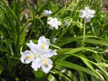 關於人生的學習