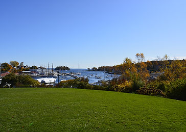_DSC0996.JPG