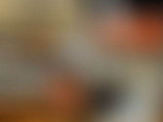 Exposition d'oiseaux et reptiles à Nouvoitou