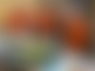 Bourse d'oiseaux et poissons du lycée de Merdrignac