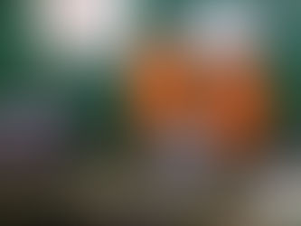 Forum des associations de Noyal sur Vilaine.