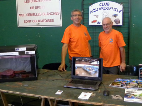 Forum des associations de Noyal sur Vilaine.