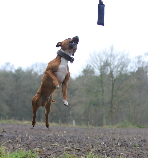 513691449_10222895586658761_783190259774