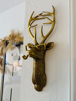 STAY ALICE STAG.jpeg