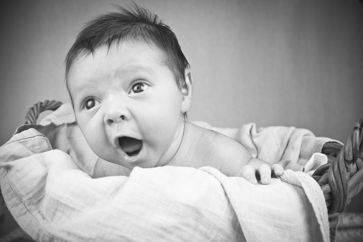 Bébé surpris dans un panier, bouche ouverte, regardant loin, photographe.