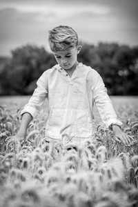 Jeune garçon dans un champ de blé, photo en noir et blanc. photographe