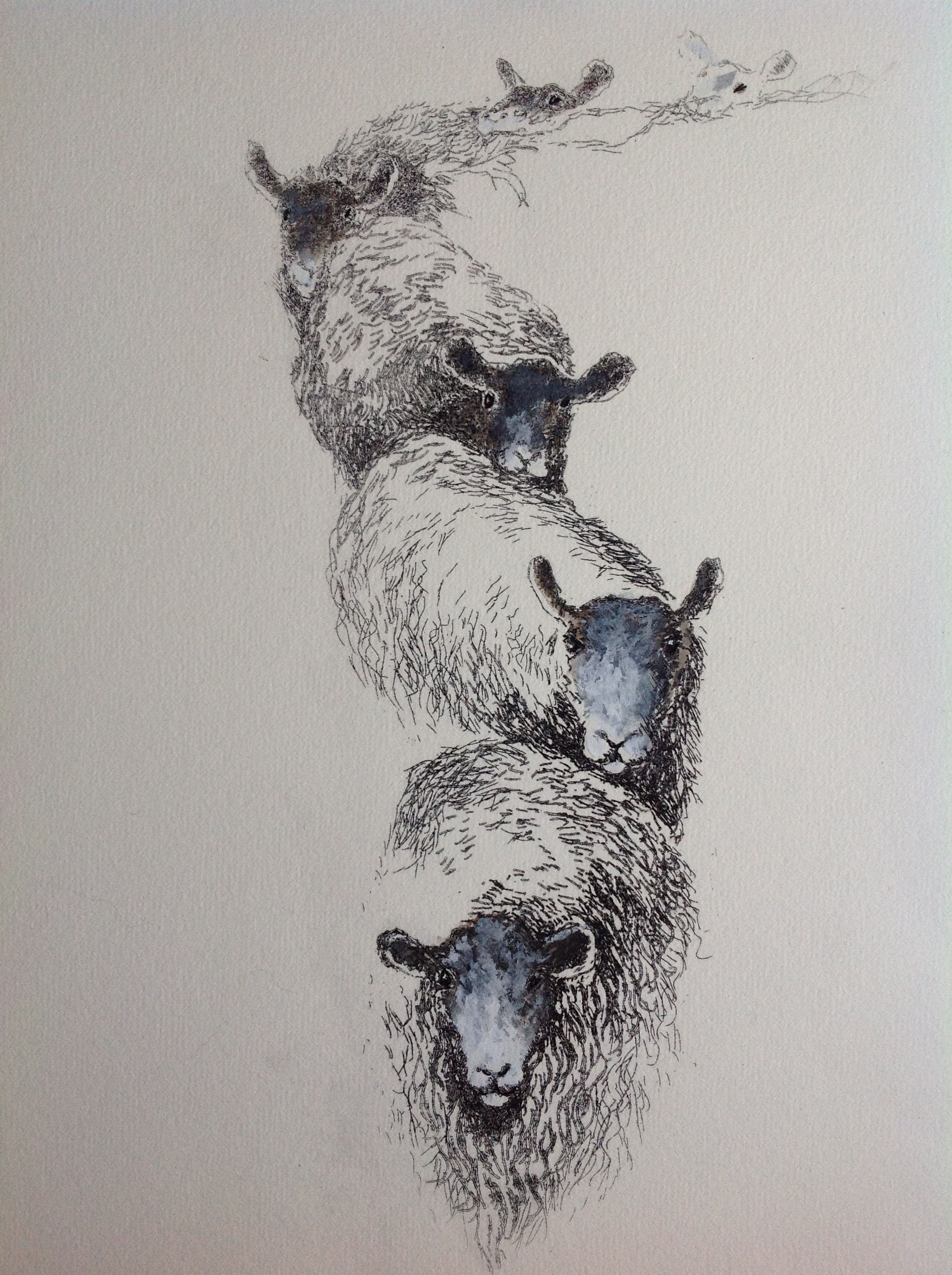 Feeding time etching