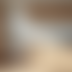 Innovative Modular Kitchen Designs for Your Home