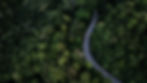 AdobeStock_1899489547.jpeg