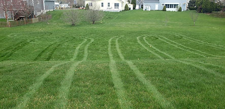 20220419_121229.jpg
