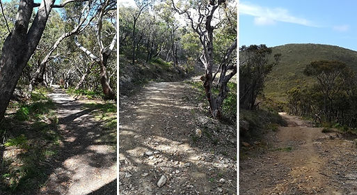 tomaree-coastal-walk-tomaree-national-park-coastal31 (1).jpg