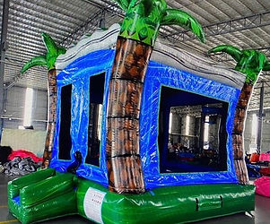 Aqua Trop Bounce House 