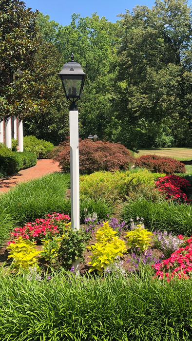 Lamppost in vibrant flower bed with red brick path, green trees.