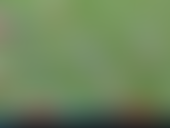 סיכום המחזור ה-14