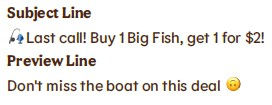 BK Big Fish email SL PH 2.jpg
