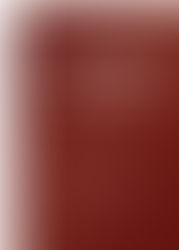 GESTION CREATIVA DE LA AGENCIA DE PUBLICIDAD/ CREATIVE MANAGEMENT OF THE ADVERTISING AGENCY