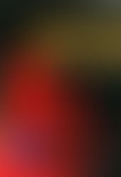 LA PSICOLOGÍA DE LOS OBJETOS COTIDIANOS