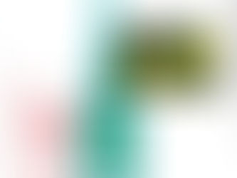 COMPLEJIDAD Y CONTRADICCIÓN EN LA ARQUITECTURA