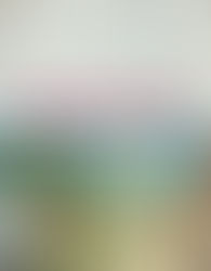 PERSPECTIVA PARA PRINCIPIANTES