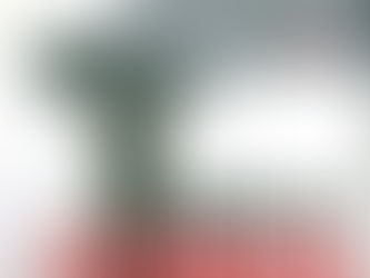 MANUAL DE FOTOGRAFÍA DE CALLE