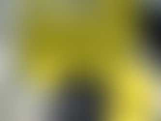 VISIBLE SIGNS : AN INTRODUCTION TO SEMIOTICS IN THE VISUAL ARTS