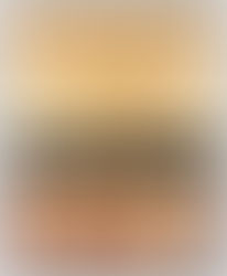 ELEMENTS IN ARCHITECTURE: ESPACIOS, SPAZI, ESPAÇOS