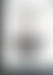 COMPORTAMIENTO DE COMPRA DEL CONSUMIDOR: 29 CASOS REALES