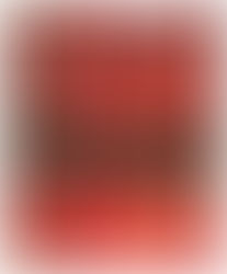 ELEMENTS IN ARCHITECTURE: DETALLES, DETTAGLI, PORMENORES