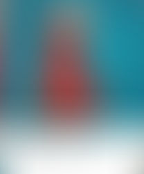 PANTONE ON FASHION: A CENTURY OF COLOR IN DESIGN