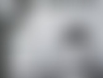 INDEPENDENT ANIMATION: DEVELOPING, PRODUCING AND DISTRIBUTING YOUR ANIMATED FILMS