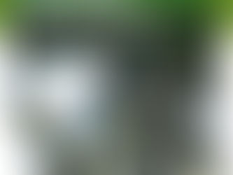 CONSTRUYENDO CIUDADES SOSTENIBLES: UN FUTURO NECESARIO