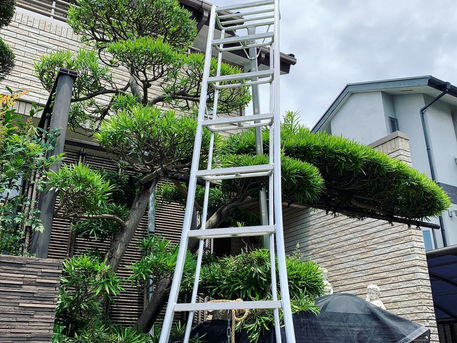 庭木の剪定・庭管理のご依頼について