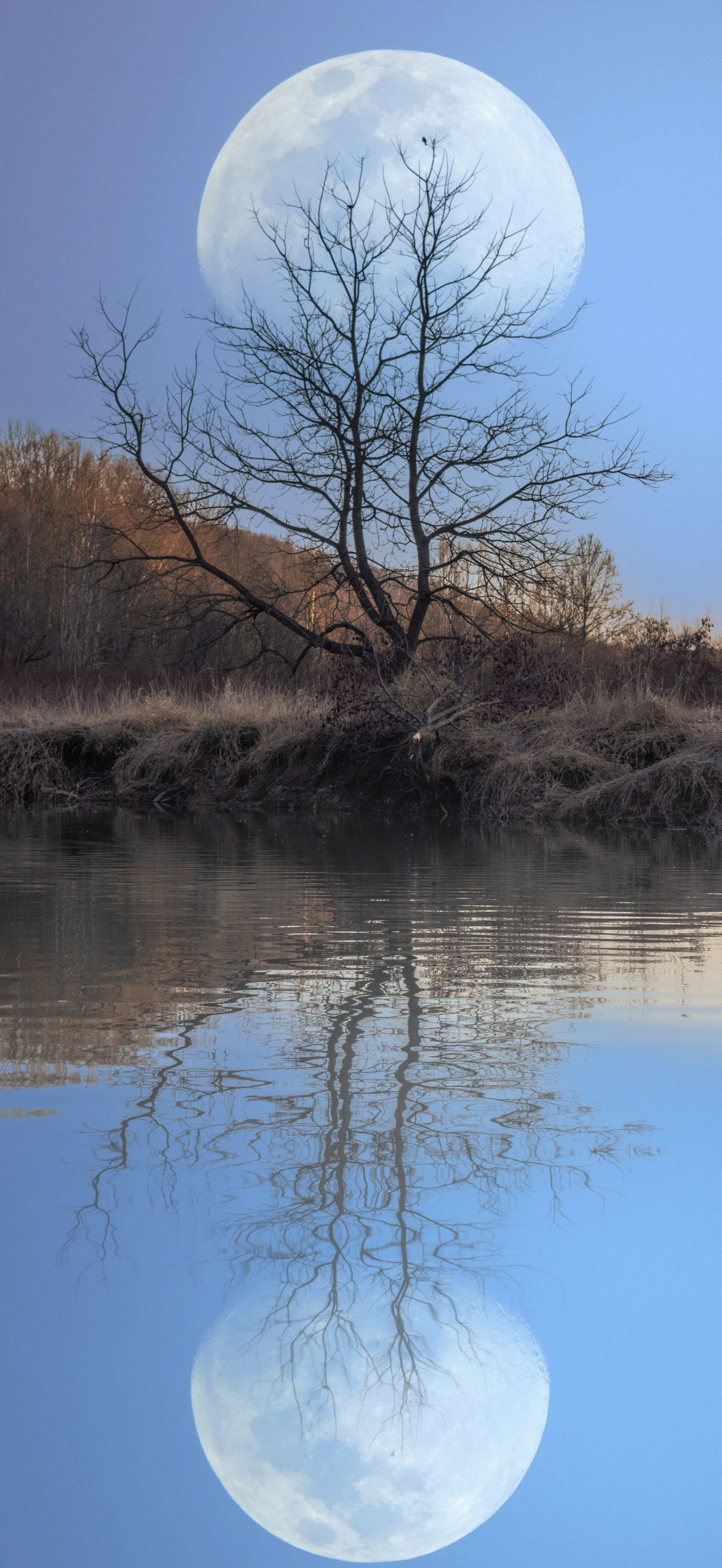 Blue Moon Reflections 10x20 Print