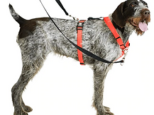 Screenshot 2022-03-30 at 17-08-58 Balance Buckle Neck Harness.png