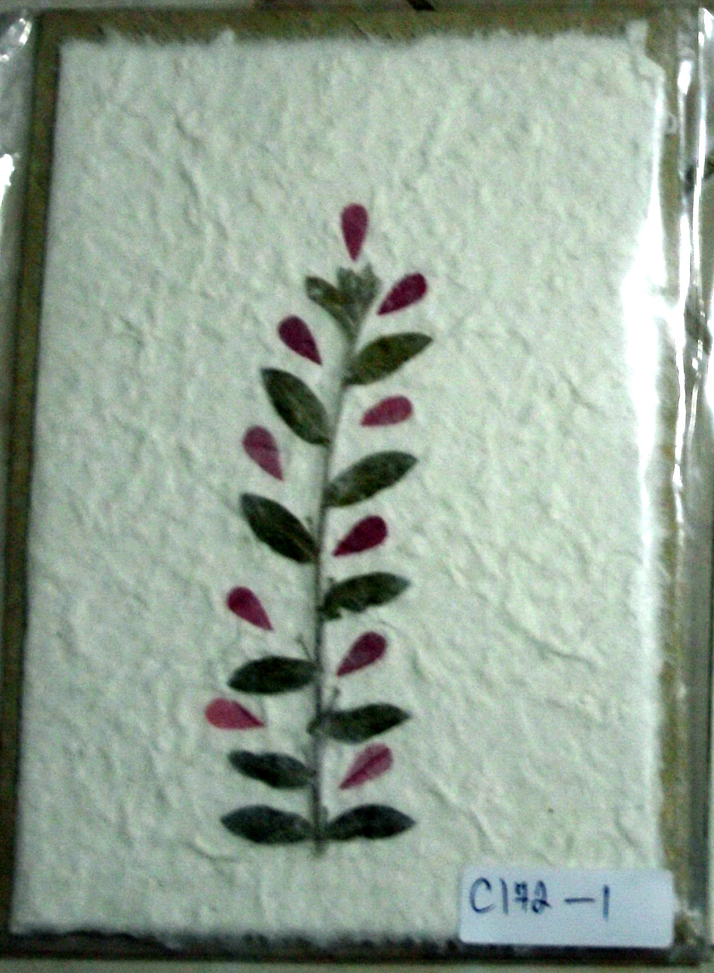 Greeting Card-GEDC1235-2
