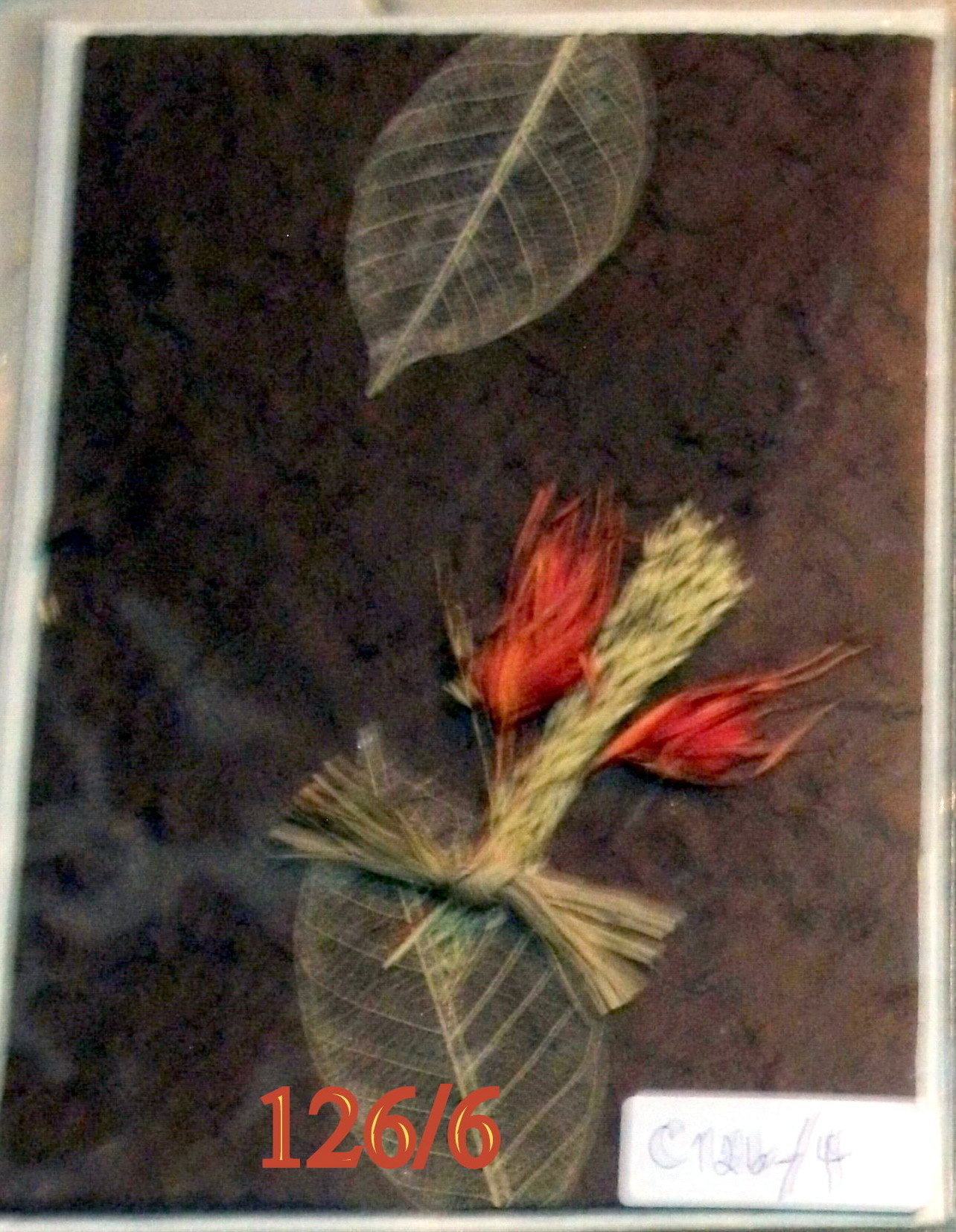 Greeting Card-GEDC1216-1