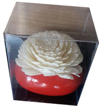 Sola flower + Aroma pot-8