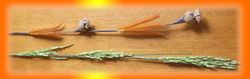 Flower made from nature material-1