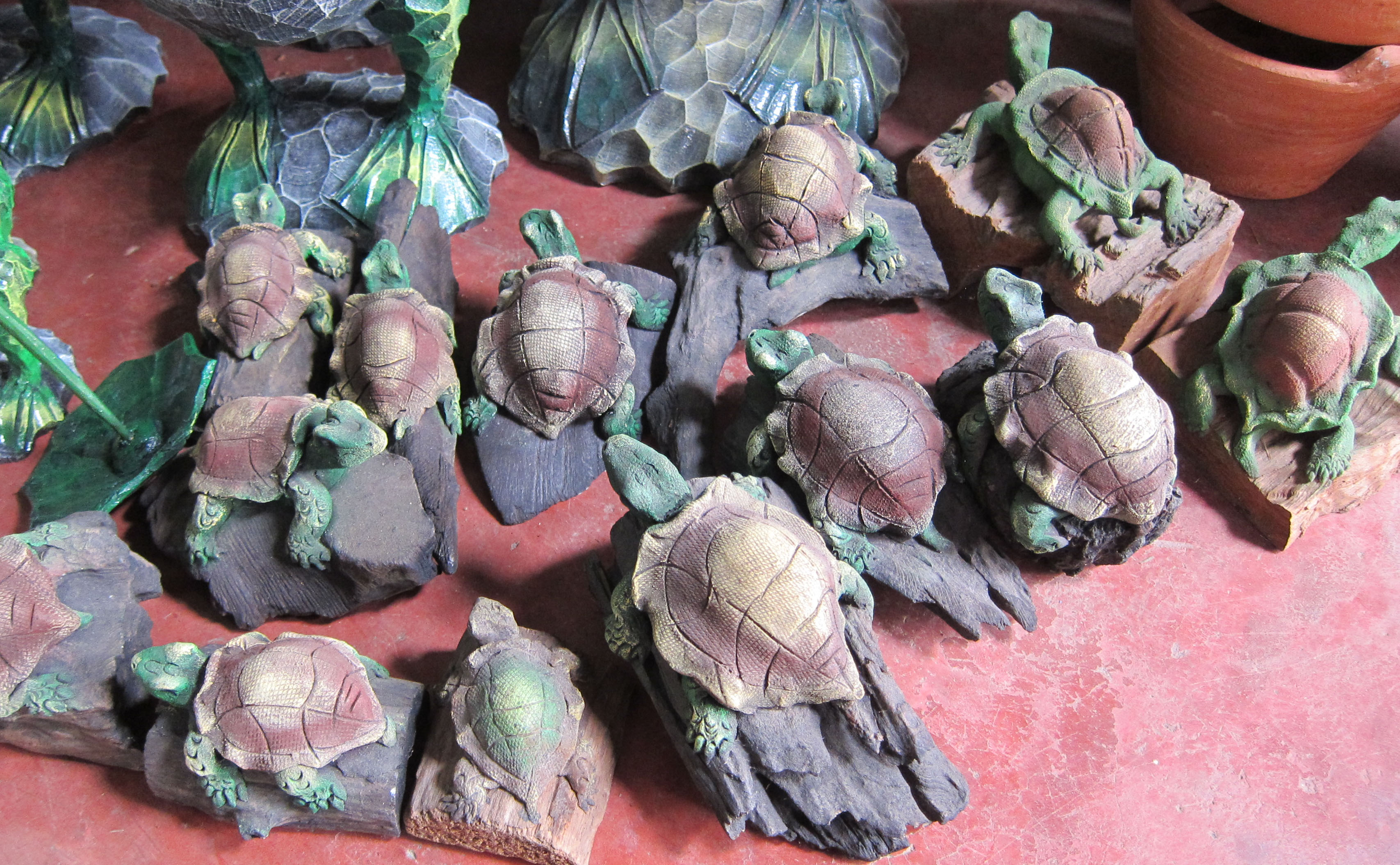 Turtle-sawdust