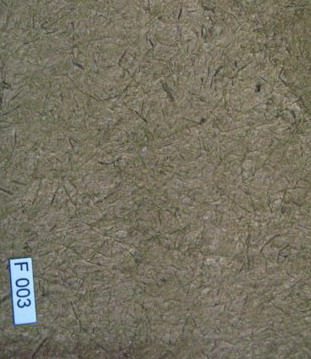 Mulberry Paper