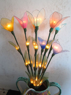 Flower Lights_4053