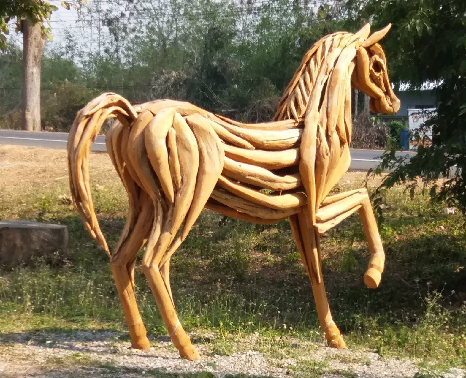 DriftwoodHorse546