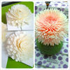 Diffusers flowers