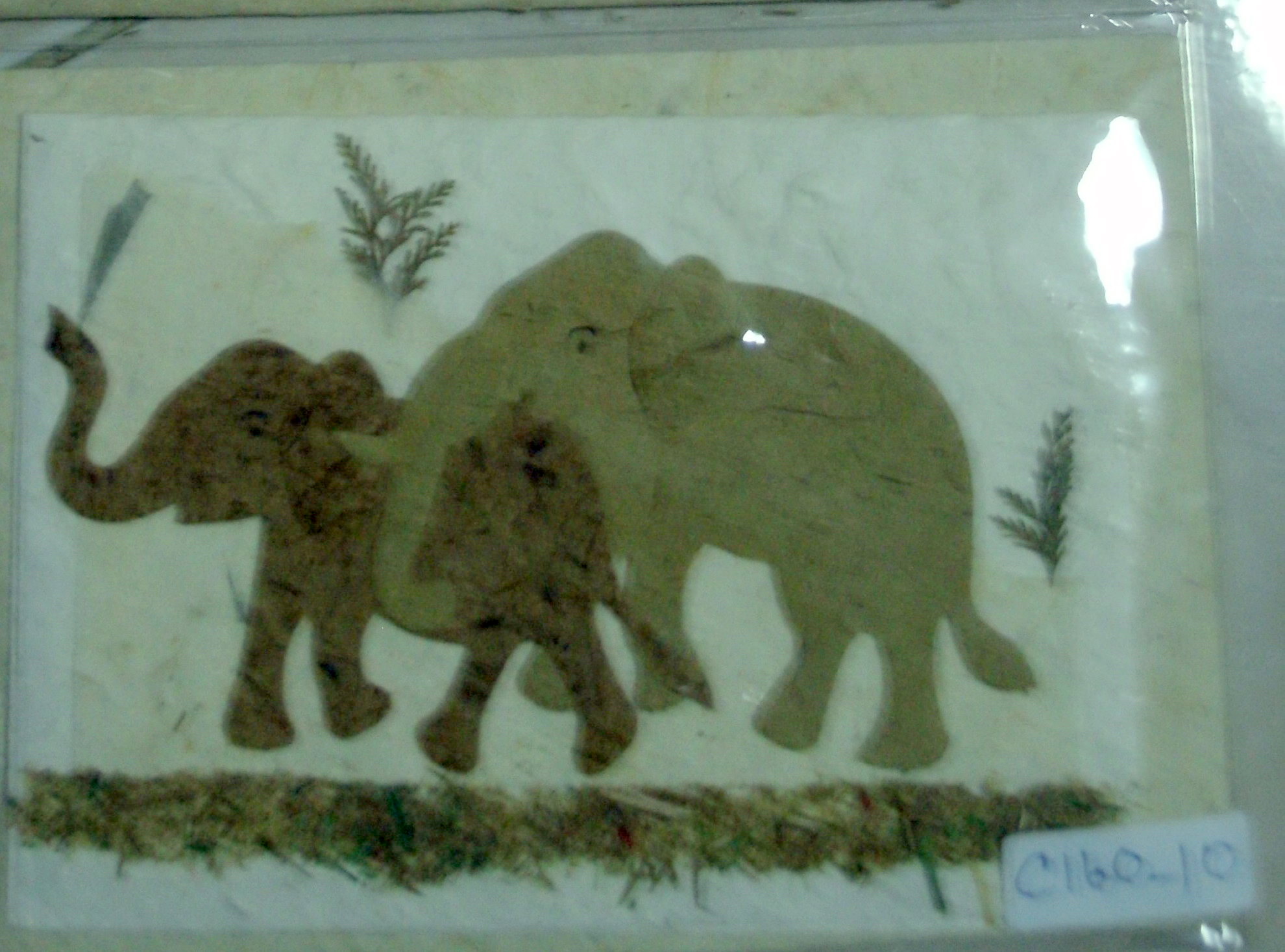 Greeting Card-GEDC1233-3