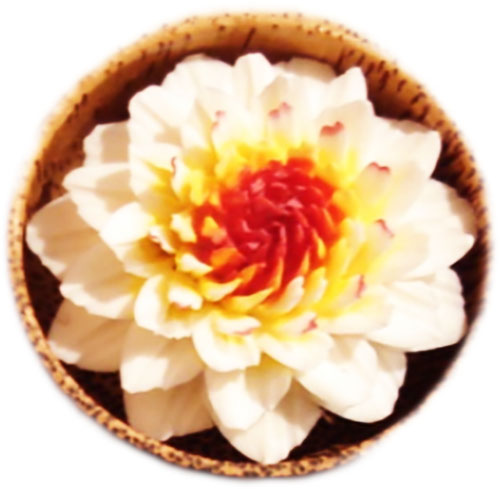 SoapFlower121