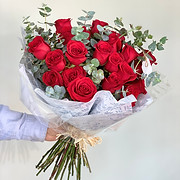IMG_8999.JPG