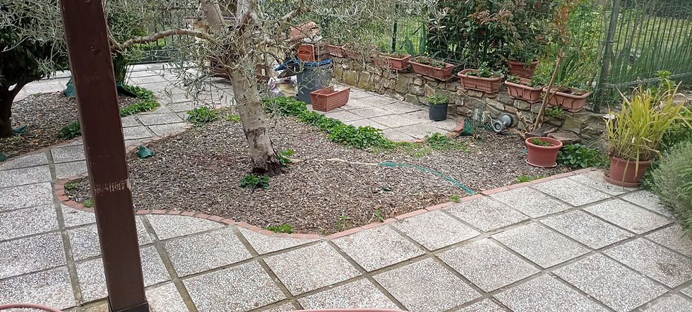 IMG_20250408_145311 (1)