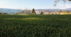 fibre di massima qualità...