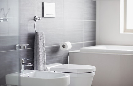 Bathroom Toilet